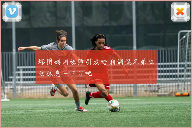 塔图姆训练照引发哈利调侃兄弟你该休息一下了吧
